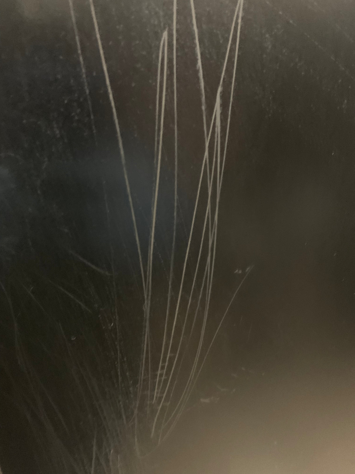 Servomat Steigler Luce 600 SM